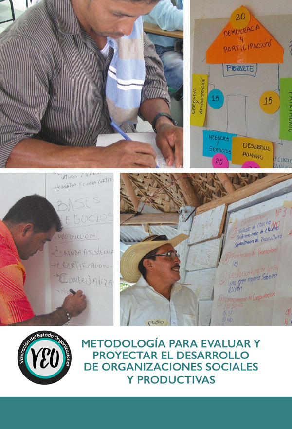 VEO Valoración del Estado Organizacional 1
