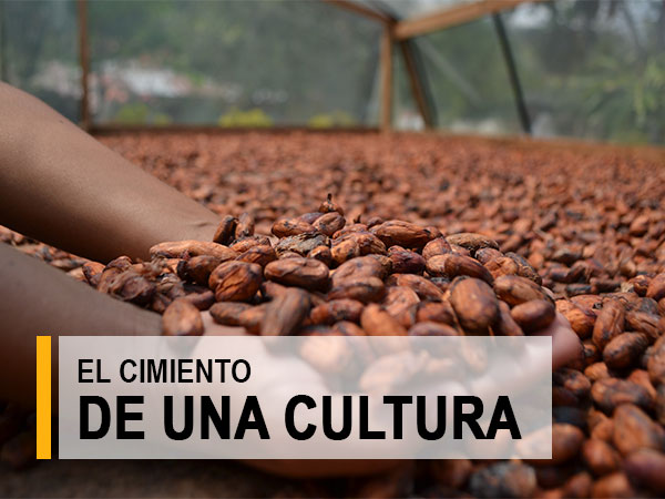 cimiento01