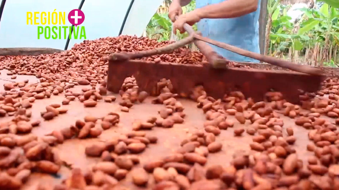 Cap 7. Cacao, más que una promesa