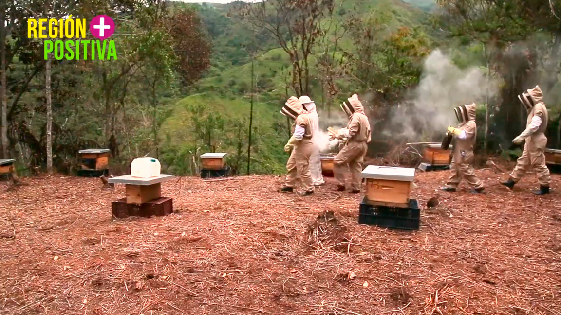 Cap 27. Extensionistas rurales impulsan el desarrollo de sus territorios