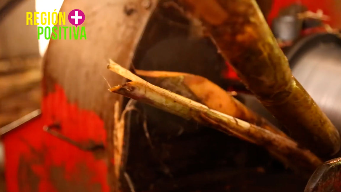 Cap 18. Producción de panela renueva la esperanza en Anorí