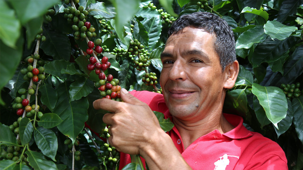 Cap 5 De todos los colores me quedo con el café